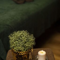 Массажный стол и ароматическая свеча [comfort zone]