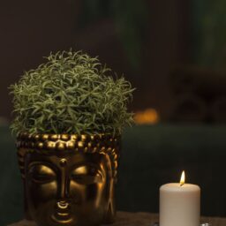 Массажный стол и ароматическая свеча [comfort zone]