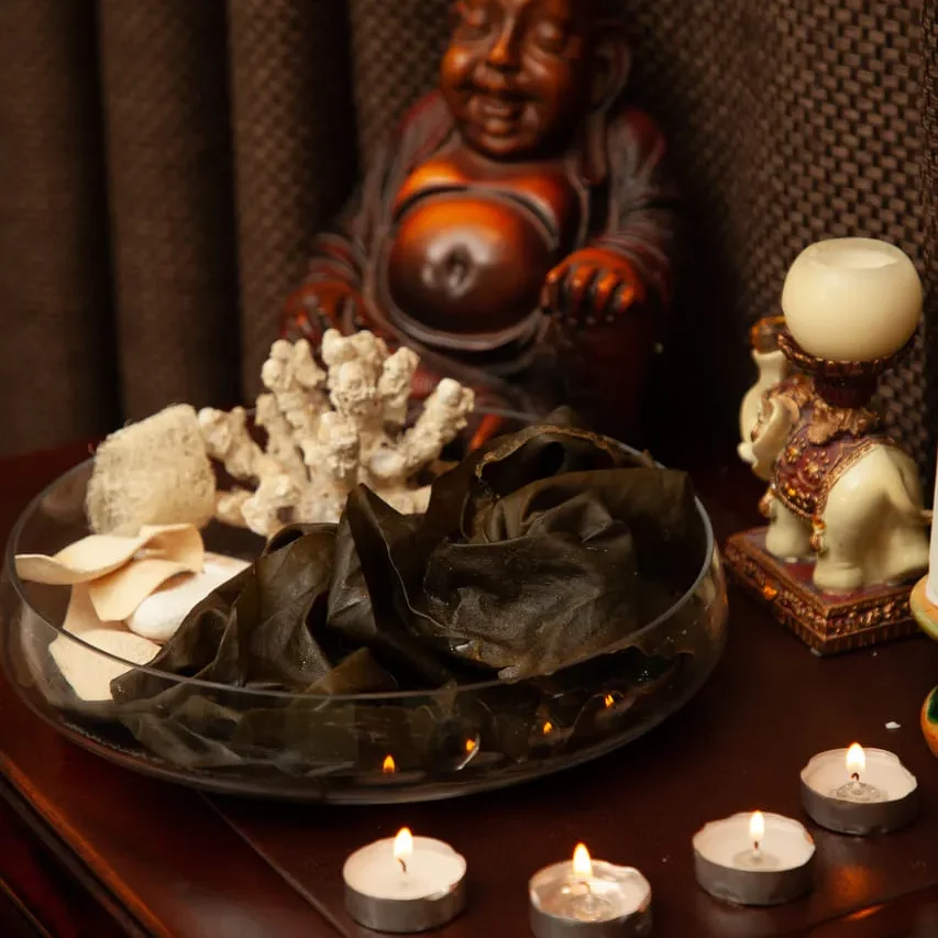 Volshebnaya laminariya 1 3