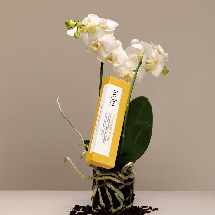 Spa okrashivanie KYDRA LE SALON 2